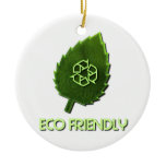 Eco Friendly Ornament